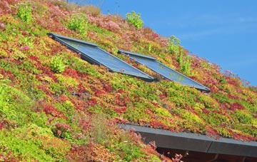 Hookwood living roof systems